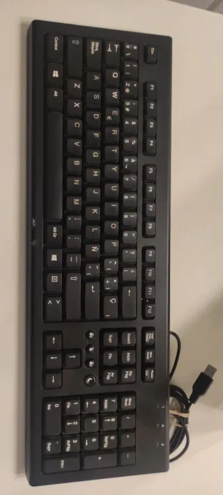 Pantalla LG, Teclado y Ratón USB Negro