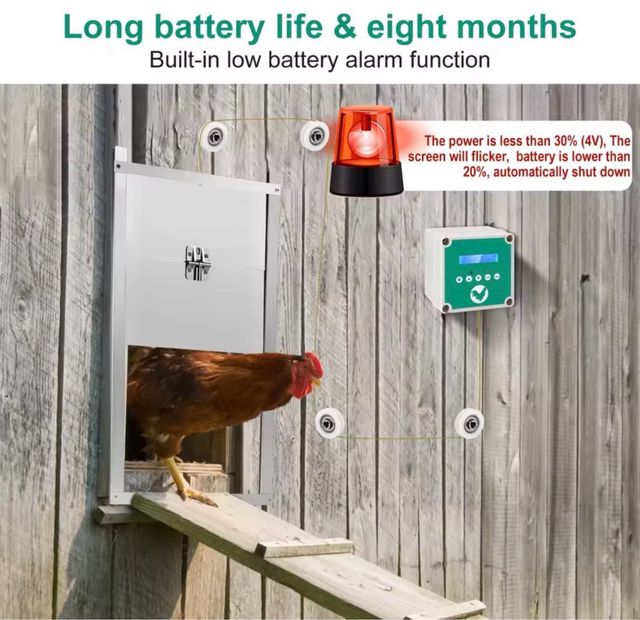 Abridor Automático Puerta Gallinero