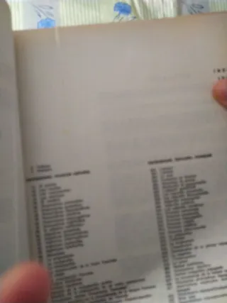 Diccionario gigante español-francés francés-españo