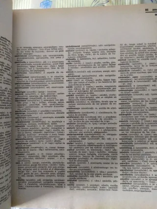 Diccionario gigante español-francés francés-españo
