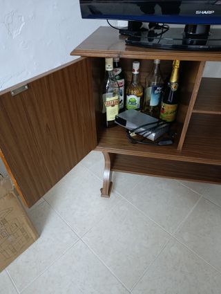 Mueble TV madera con puerta y ruedas