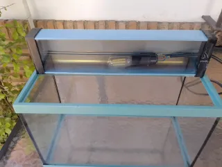 Acuario Pecera 20L Cristal y Piedras