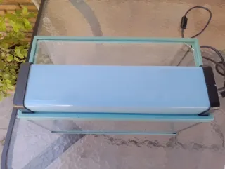 Acuario Pecera 20L Cristal y Piedras