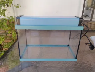 Acuario Pecera 20L Cristal y Piedras