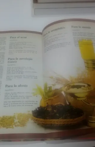 Libro de recetas y remedios naturales