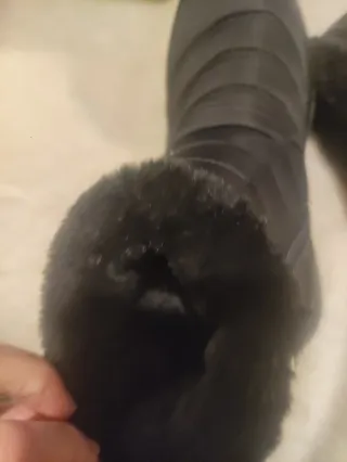 Botines negros acolchados con forro