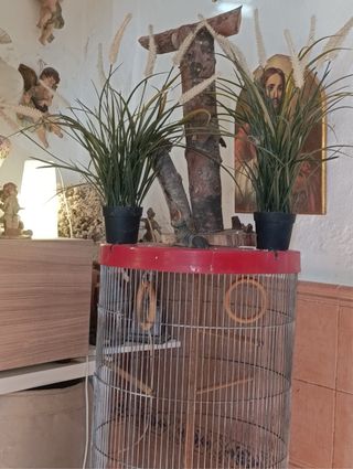 Jaula grande para pájaros