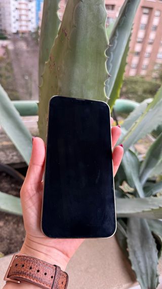 iPhone 13 Pro Max Oro Rosa