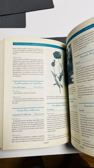 MIL PLANTAS MEDICINALES,Aromáticas y Culinarias