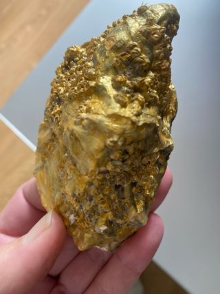 Ostra decorada con perlas y strass