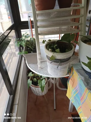 Mesa y 4 sillas de jardín de hierro