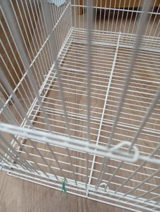 Jaula blanca con base azul