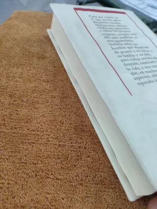 "La espía del viento"