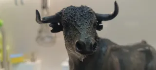 Figura Toro Bravo Bronce Peana Mármol