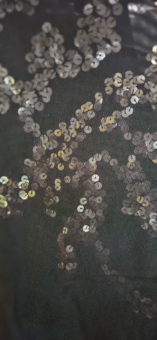 Camisa negra con brilli de Adolfo Domínguez