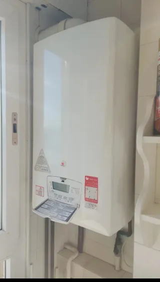 Caldera Vaillant Blanca