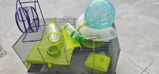 Jaula Hámster 2 Alturas + Accesorios