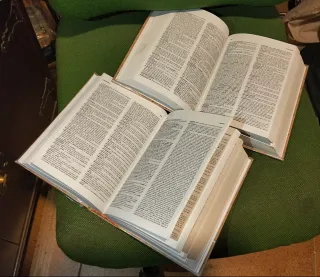 Diccionario de la Lengua Española (Tomos I-II)