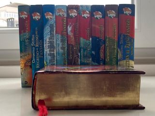 Lote 10 Libros Geronimo Stilton - Reino de la Fant