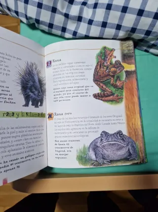 Lee cada día 365 historias de animales