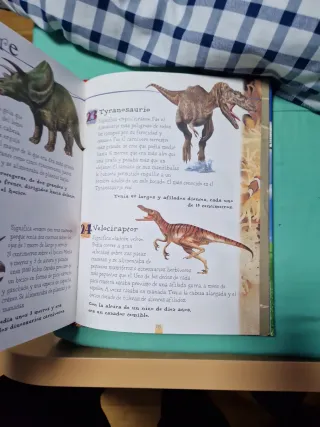 Lee cada día 365 historias de animales