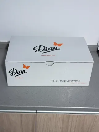 Zapatos de trabajo Dian negros