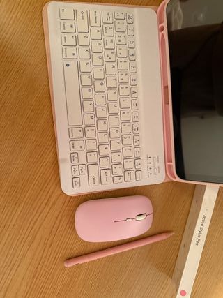 Teclado, Ratón y Lápiz Táctil IPad