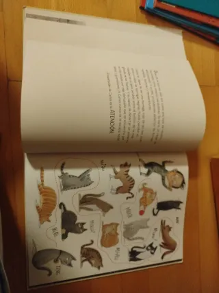 El gran libro de los superpoderes (Spanish Edit...