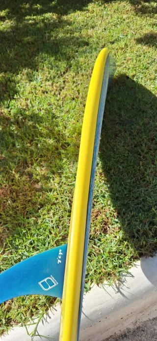 Tabla Surf Single Fin