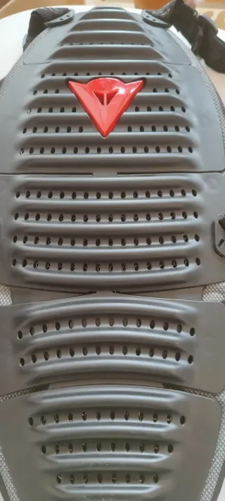 Espaldera Dainese Wave 1