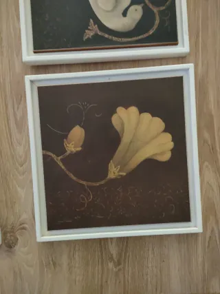 4 Cuadros Decorativos Aves y Flores