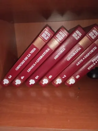 Guía de Estudio ARTEL 10