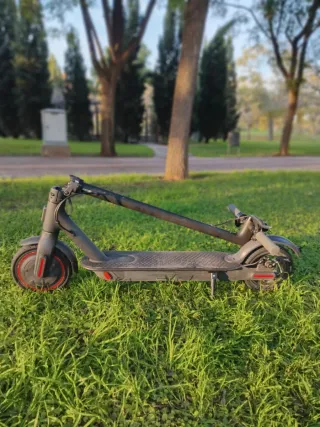 Patinete Eléctrico Xiaomi 365 S1