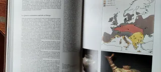 Historia Universal Planeta