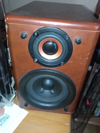 Altavoces JVC Marrones