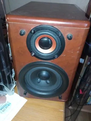 Altavoces JVC Marrones