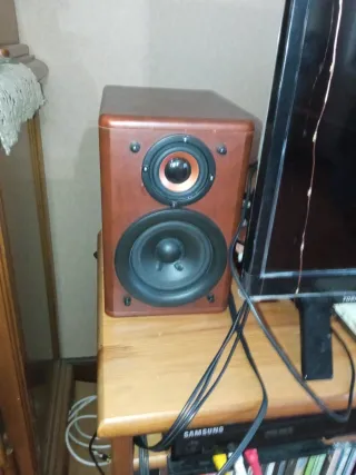 Altavoces JVC Marrones