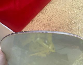 Tabla de Snow Salomon con Fijaciones