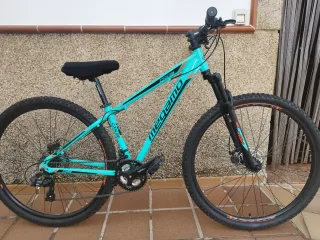 Bicicleta de Montaña