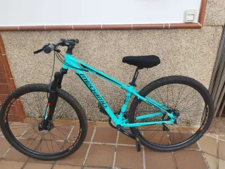 Bicicleta de Montaña