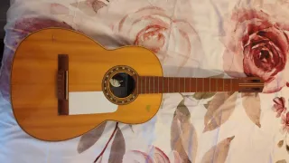 Guitarra acústica Alvarez con cutaway
