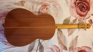 Guitarra acústica Alvarez con cutaway