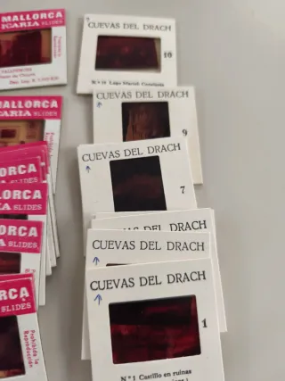 Lote 40 diapositivas, Marineland, florida,etc