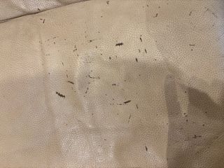 Sofá de piel 2 plazas beige