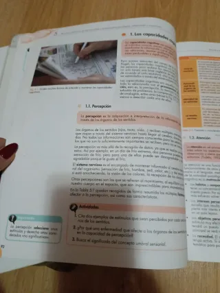 Atención y apoyo psicosocial