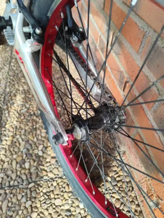 Bici Trialsin Monty 207