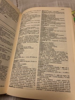 dizionario italiano inglese e viceversa