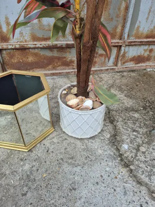 Jardinera hexagonal y planta