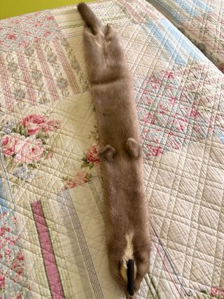 Cuellos de piel marrón el precio es por los dos