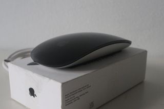 Apple Magic Mouse Negro USB C